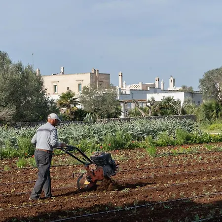 Masseria Palombara Relais & - Adults Only Manduria